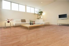 也能够扫描左下方二维码关心微信号：zxt002520